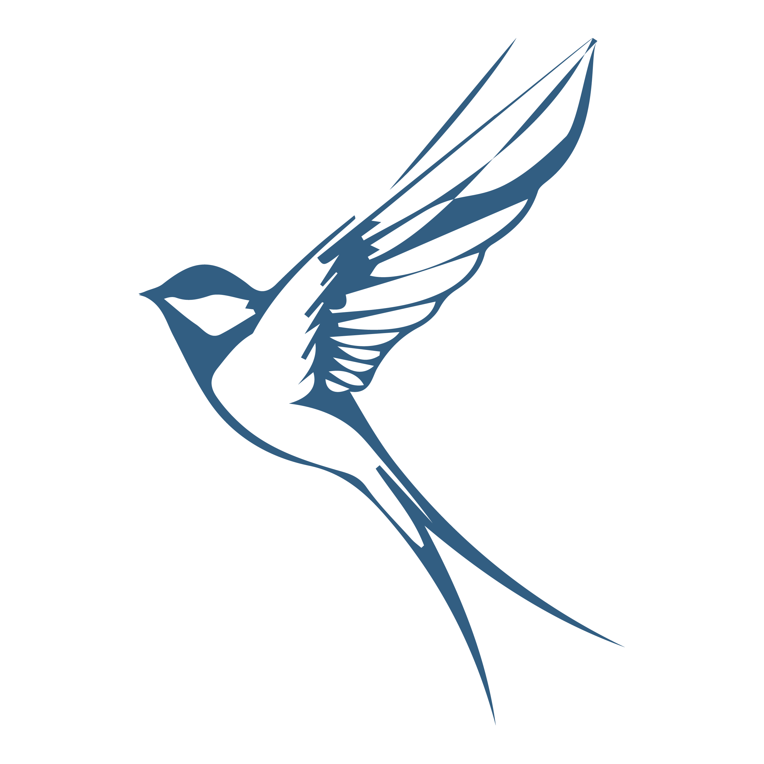 Bird Icon